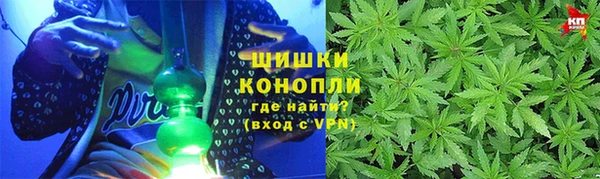 шишки Балахна